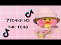 ❤️Уточки из тт✌️(видео не мои, из тик тока.)