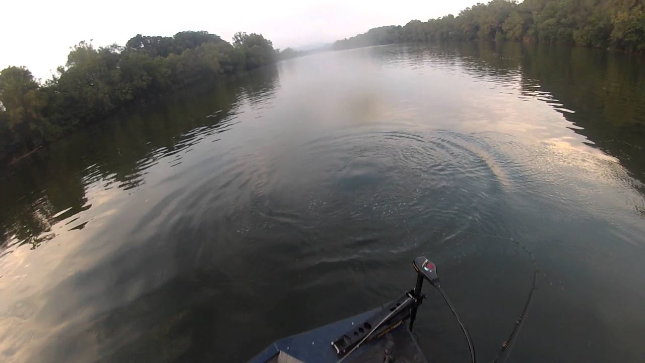 Musky jump New River YouTube