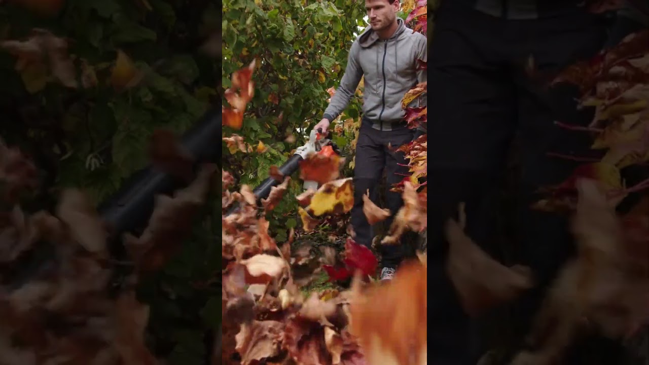 Leaf Blowers: Efficient Gardening Tools for Outdoor Cleanup | SGK English