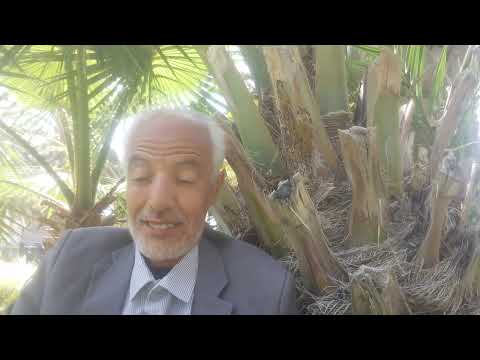 يكفينا ليفينا