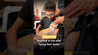 Lebanon: a bond stronger than the war  | FOUR PAWS | [SUBS]