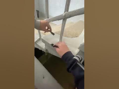 Стонайлонд - YouTube