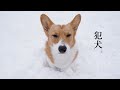 リアルな逃走劇
