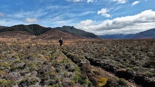 3 Days Tramping in Kaimanawa Forest Park: Boyd - Tussock Huts Loop