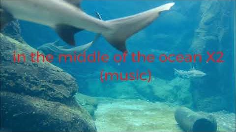 MIddle of the Ocean By  KBong Ft  Stick Figure