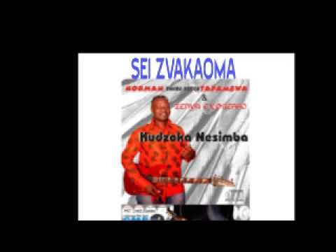 Sei Zvakaoma Album KUDZOKA NESIMBA 