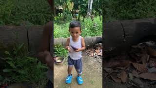 Kucing pak juna cuma pingsan