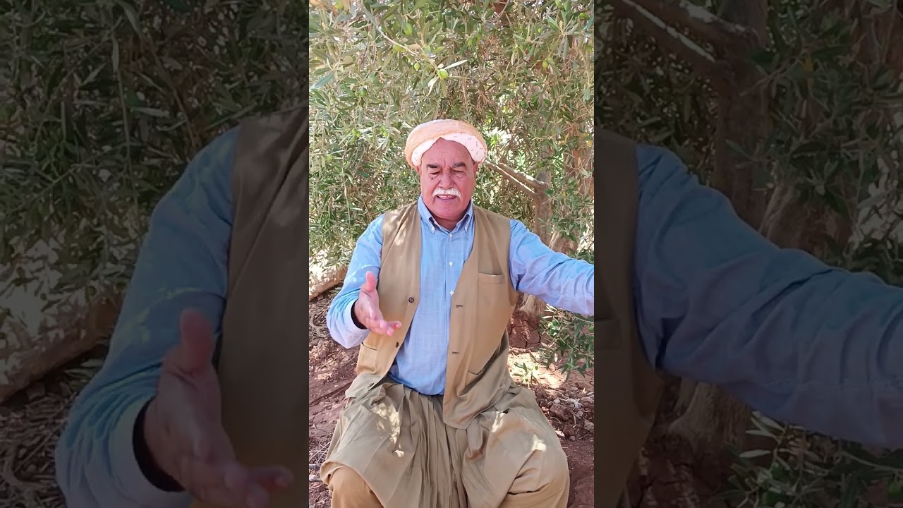 الشاعر قندوز قادة في قصيدة تحت عنوان اولاد سيدي خالد