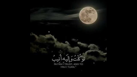 حالات واتساب 🌴آيات القرآن الكريم ❤❤💝💝💗مقاطع دعوية إسلامية 💞💞تلاوات هادئة وخاشعة 💗💗💗