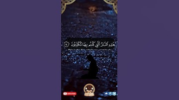 أروع تلاوات القرآن الكريم- الله نور السماوات والأرض من سورة النور للشيخ د. ياسر الدوسري