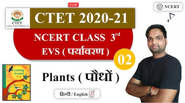 Target CTET 2020-21 | NCERT EVS ( Environment ) Class 3rd By DK Gupta | Plants ( Plants )