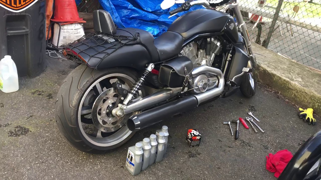 Harley Davidson Vrod oil change part 1 YouTube