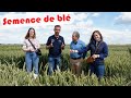 Je dcouvre la production et la cration de semences chez syngenta cofarmingtour