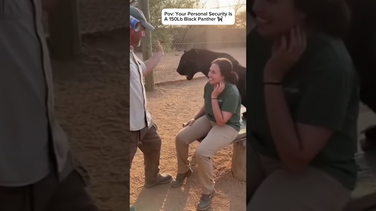 Don't Mess With Her: Panther Edition!