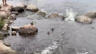 A Lakeside Afternoon as Autumn Approaches