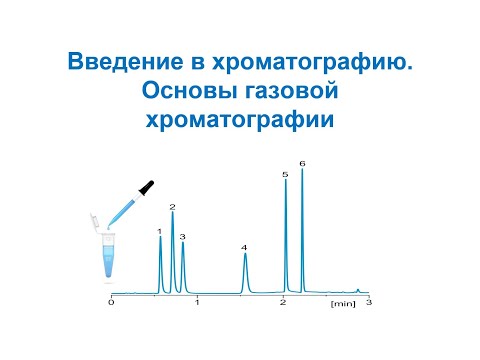 [Запись 2022 г] Введение в хроматографию, основы газовой хроматографии