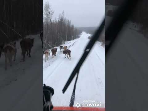 Якутия , Якутск