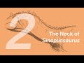 Chongzuo the “Sinopliosaurus” 2: The Neck | Learn to Draw Dinosaurs with ZHAO Chuang