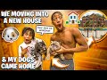 WE MOVING INTO A NEW HOUSE & MY DOGS FINALLY CAME HOME!