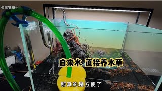 自来水直接入缸养水草养鱼……赶紧测一下你家自来水是不是达标