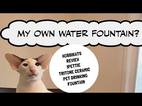 iPettie Tritone Ceramic Pet Drinking Fountain: The hobbikats squad try it out!