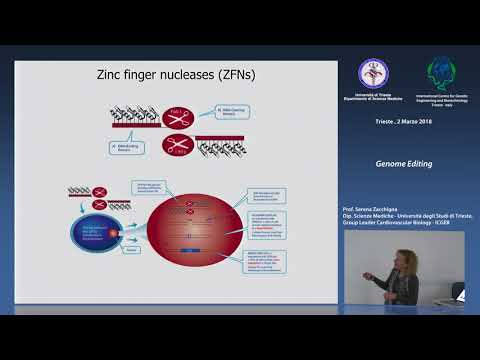 Video: L'integrazione Dei Cambiamenti Di MicroRNA In Vivo Identifica Nuove Caratteristiche Molecolari Della Resistenza All'insulina Muscolare Nel Diabete Di Tipo 2