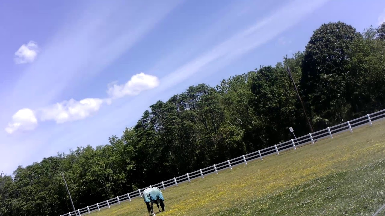 At The Horse Farm!!