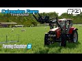 Buying Sheep, baling grass and I bought a new tractor | Calmsden Farm #23 | Farming Simulator 22