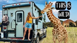 An Unexpected Wildlife Encounter: Living in a Truck Camper