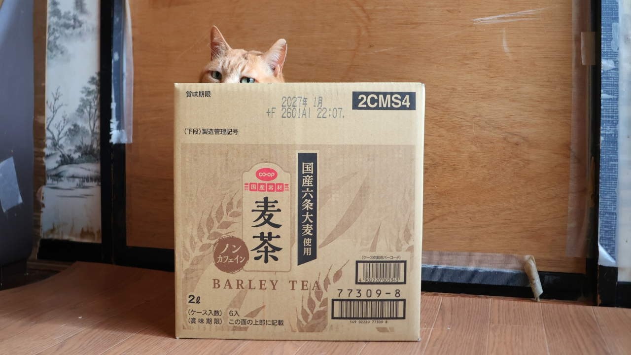 CO・OP 麦茶 の箱入麦茶 box and cat 260714 - YouTube