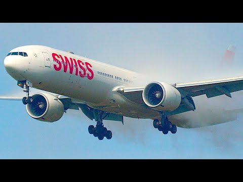 36 MORNING LANDINGs in DENSE FOG - Zurich Airport Plane Spotting | 4K