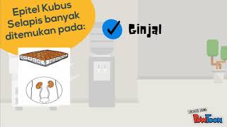Jaringan Epitel Kubus Selapis