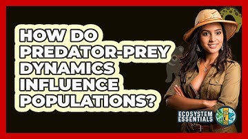 How Do Predator-Prey Dynamics Influence Populations?
