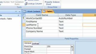 Break Down Fields in Access 2007