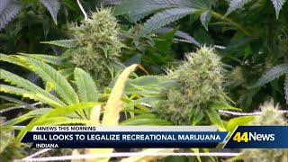 Indiana lawmakers propose plan to legalize marijuana for some users in the state