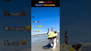 cats on the beach #ranking #funny #cuteanimals #cutecats #beach