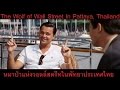 The Wolf of Wall Street In Pattaya, Thailand. หมาป่าแห่งวอลล์สตรีทในพัทยาประเทศไทย