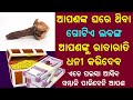 matra gotiye labanga apananku ratarati kariba | Odia Bayagita Astrology Vastu Sadhubani Tips 2019