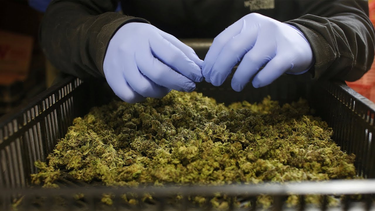 2018 Beyond the Headlines: A growing industry after Canada legalizes recreational marijuana