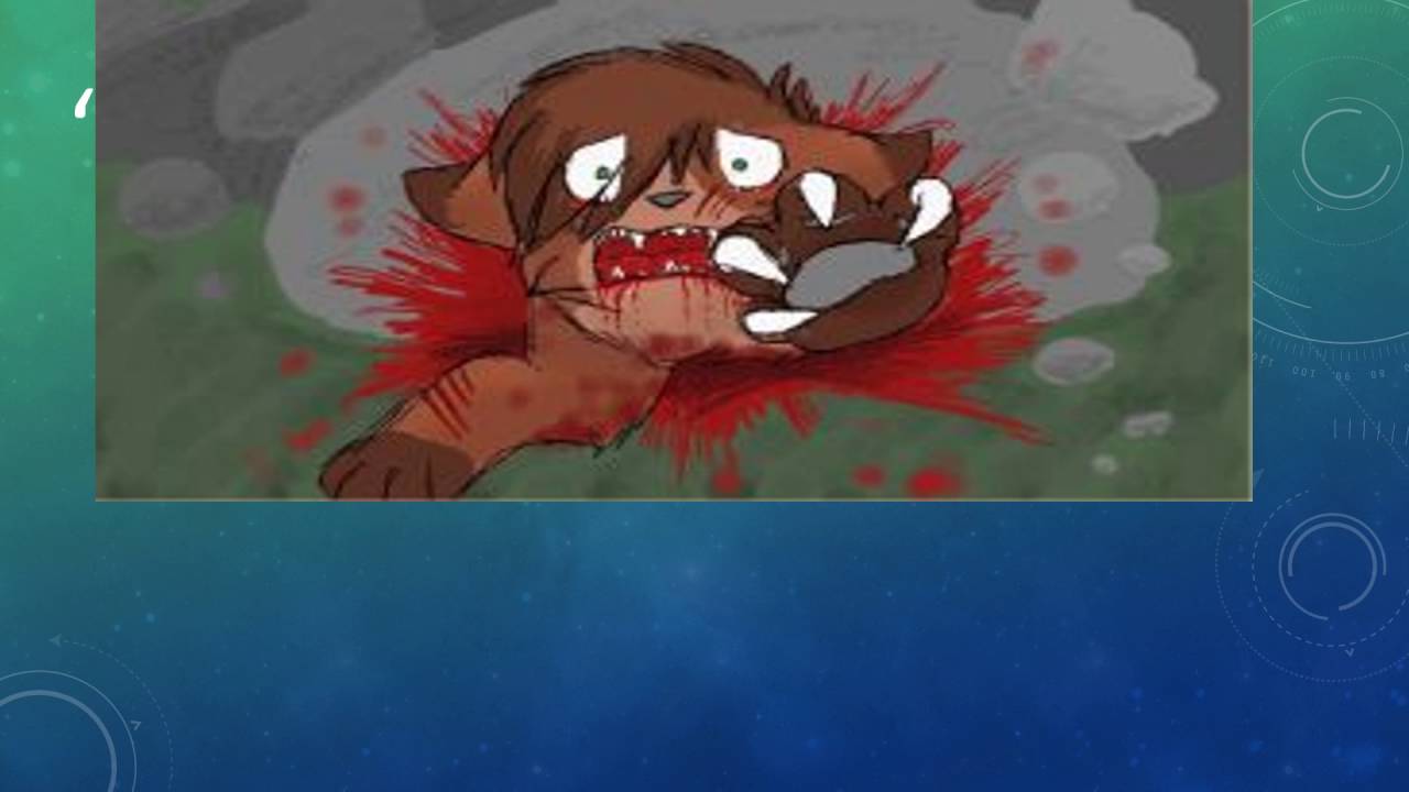 Top ten saddest warrior cat deaths YouTube
