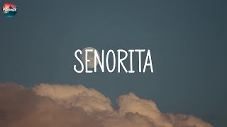 Shawn Mendes - Señorita (Lyric Video)