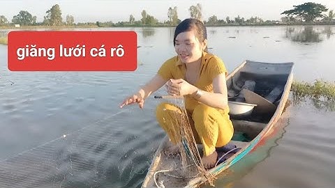 02/Giăng lưới mùa nước nổi dính bầy cá rô đồng ngon quá 