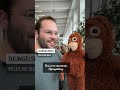 Punch, le singe qui fascine le web