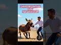 فن الاقناع #ai #animals #ضحك #فن #funny