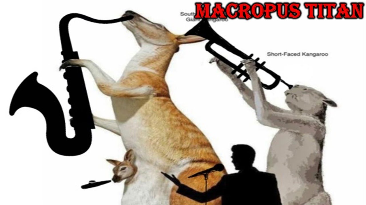 macropus titan