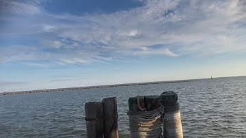 XEM THỢ LẶN TÌM TRỨNG VỊT CHO TÀU CÀNG USA