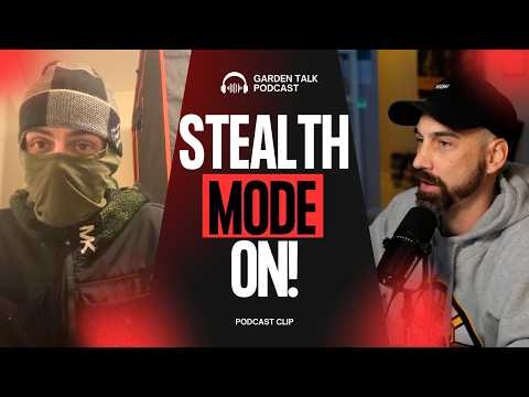 Does Stealth Growing Require a Different Strategy?