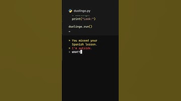 #kodx #python #coding #duolingo #codingmeme