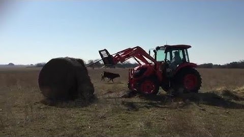 Ranching 101: How to unroll a bale of hay with a tractor