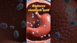 acidity ka raaz ! #youtubeshort #facts #ytshorts #trendingshorts #shorts #acidity #stomachacidity